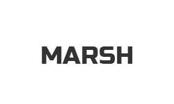 Чернила и растворители для принтеров MARSH